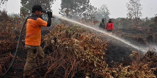 Polisi Sebut Kebakaran Hutan Biasanya Dilatarbelakangi Motif Ekonomi