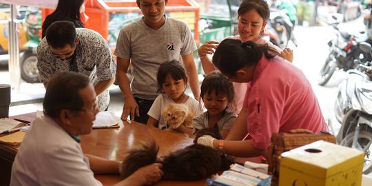 Peringati Hari Rabies Sedunia, Anjing dan Kucing di DKI Gratis Vaksinasi