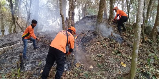BPBD Banyuwangi: Tidak Ada Pemadaman Kebakaran di Gunung Raung