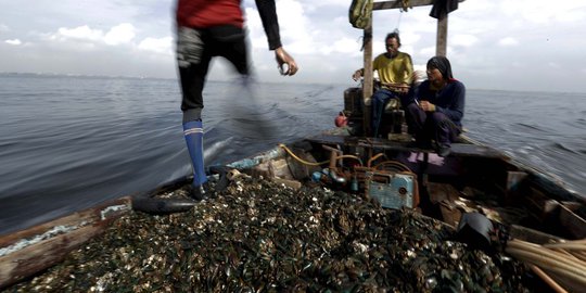 Jernihkan Teluk Jakarta, 3 Ton Kulit Kerang Hijau Ditebar di Ancol
