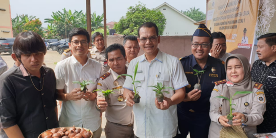 Produk Hortikultura Asal 6 Kabupaten di Sumut, Laris di Pasar Ekspor