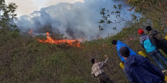 Hutan Papandayan Terbakar, Wisatawan dan Pendaki Diimbau Waspada