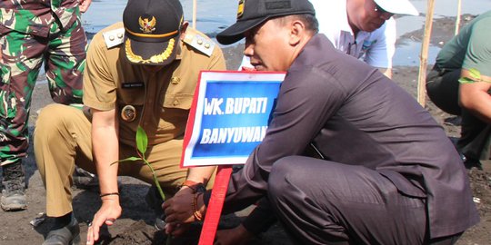 Peringati HUT TNI, 7000 Bibit Mangrove Ditanam di Banyuwangi