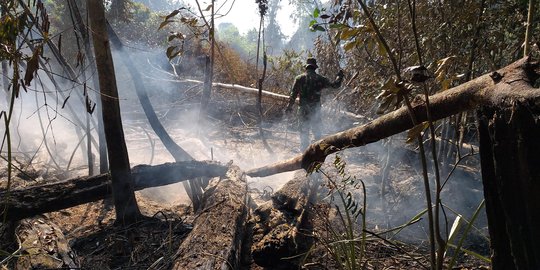 Bos PT SSS Ditahan Terkait Kasus Kebakaran Hutan di Riau