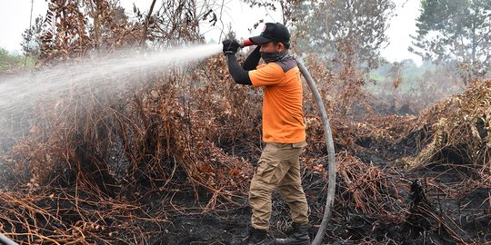 Lahan Seluas 50 Hektare di Indragiri Hulu Terbakar