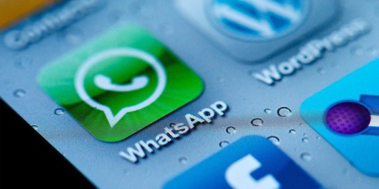 Rudiantara Soal Whatsapp Pay: Yang Penting Lindungi Masyarakat