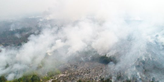 BNPB: Hujan Buatan Hanya Basahi Bagian Atas Hutan Terbakar