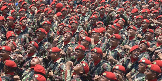 Pemerintah Diminta Bikin UU Perbantuan Militer Agar TNI Bisa Operasi Selain Perang