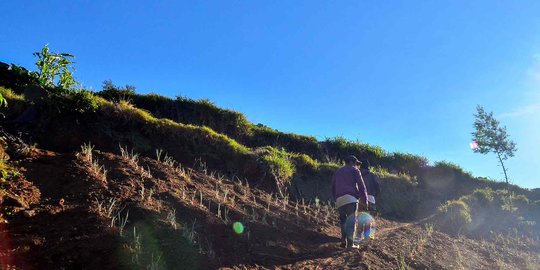 Tradisi Berbagi Tembakau Petani Gunung Slamet