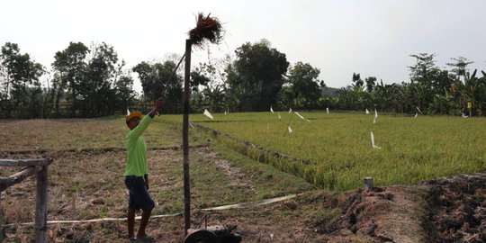 Sumur Sawah di Ngawi Keluarkan Api