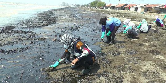 Pertamina Klaim Laut Karawang Sudah Bersih dari Tumpahan Minyak