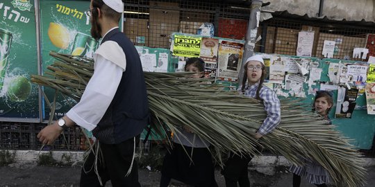 Festival Sukkot, Umat Yahudi Berburu Ranting untuk Bikin Gubuk