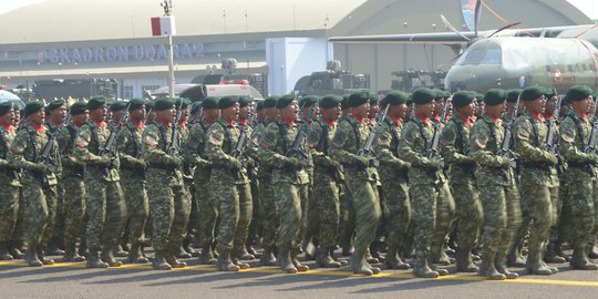 Pantaskah Anggota TNI Dihukum Gara-gara Istri Nyinyir di Medsos?