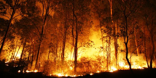 Lereng Gunung Lawu dan Bancak Terbakar