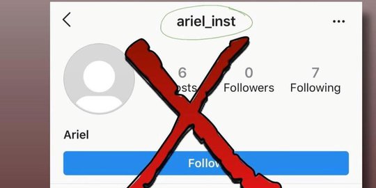 ariel