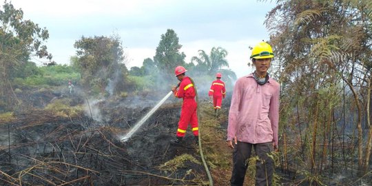 Luas Kebakaran Hutan dan Lahan di Indonesia Turun 87 Persen