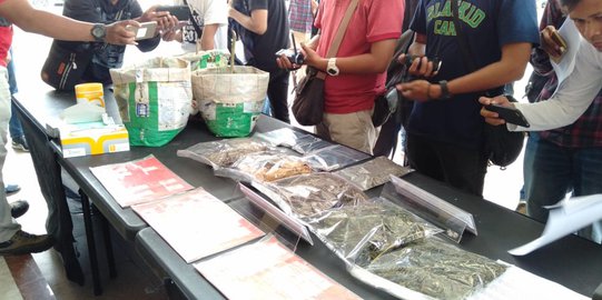 Belajar dari Google, Petani Asal Bogor Nekat Tanam Ganja di Pekarangan Rumah