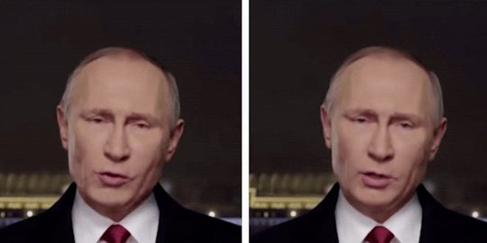 deepfake rev1