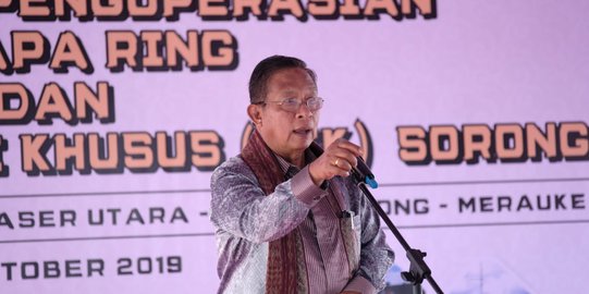 Menko Darmin Beberkan Kekuatan dan Kelemahan Ekonomi RI di Tengah Resesi Global