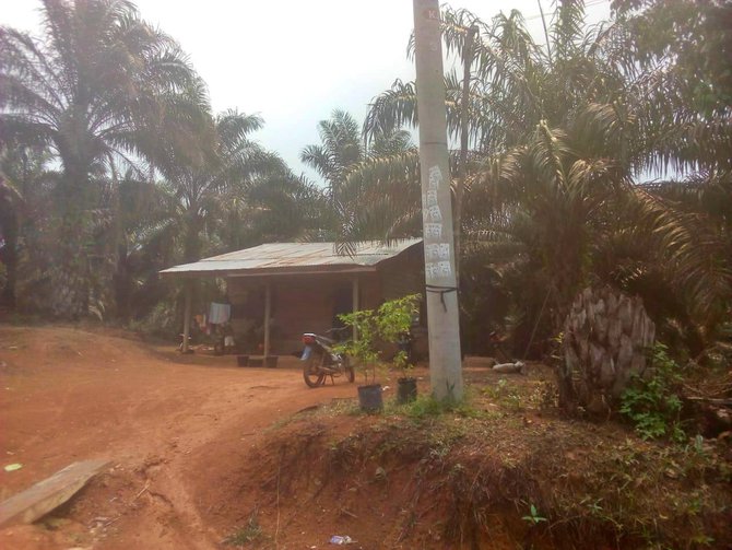 listrik masuk di desa talang tujuh buah tangga