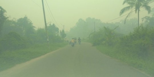 Kabut Asap Makin Pekat, Kualitas Udara di Kota Jambi Tak sehat