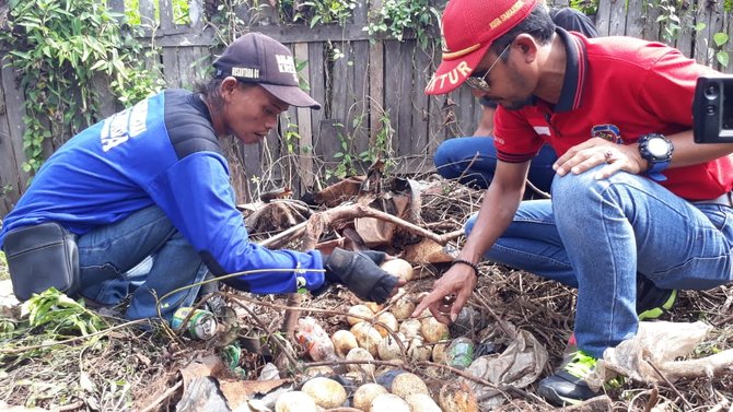 warga samarinda temukan telur ular piton