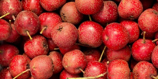 5 makanan yang bisa membantu kadar asam urat tetap dalam batas aman