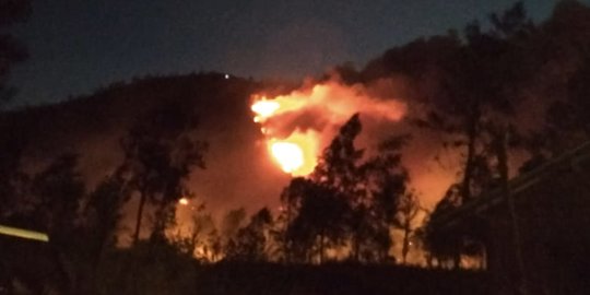 Kawasan Gunung Ranti Banyuwangi Kembali Terbakar, 4 Wisatawan Nekat Mendaki