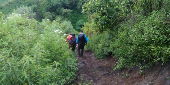 4 Pendaki Terjebak Kebakaran di Gunung Ranti Banyuwangi Berhasil Selamat