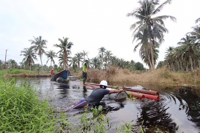 petugas pln bertaruh nyawa di indragiri hilir