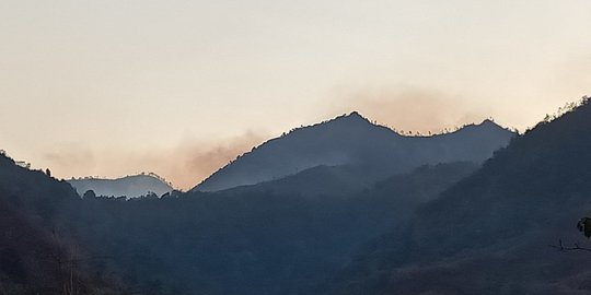 Ratusan Hektar Hutan di Lereng Gunung Wilis Kediri Terbakar