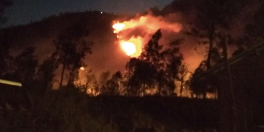 Kebakaran Hutan, Pendakian di Gunung Ijen Sementara Ditutup