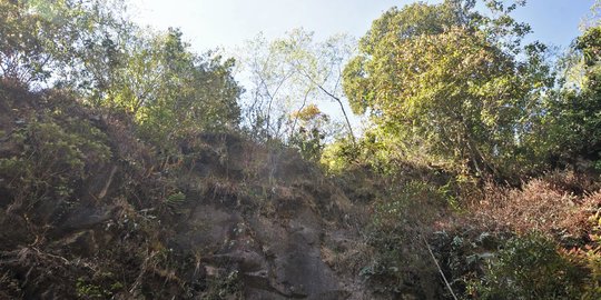 Pendakian ke Gunung Lawu Sementara Ditutup Akibat Badai