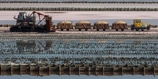 Menengok Danau Garam Merah Muda di Rusia