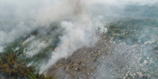 Api Masih Terus Menjalar di Hutan Gowa, Ini 4 Kendala Pemadaman