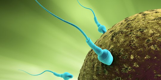 3 Makanan Berbahaya yang Bisa Menurunkan Jumlah Sperma Pria