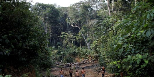 KLHK Diminta Objektif Selesaikan Masalah Batas Kawasan Hutan