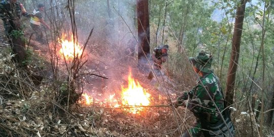 Hutan Jati Milik Perhutani di Ciamis Terbakar