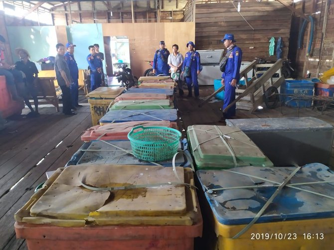 polair polda riau gagalkan penyelundupan belangkas