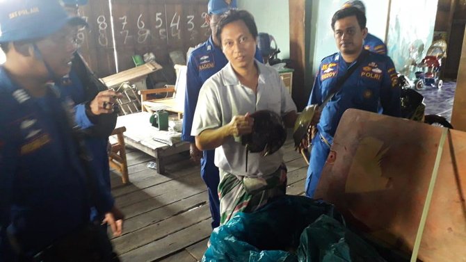 polair polda riau gagalkan penyelundupan belangkas