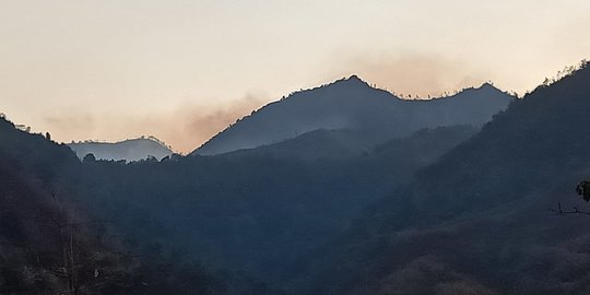 Kebakaran Lereng Gunung Wilis Merembet Hingga Wilayah Ponorogo