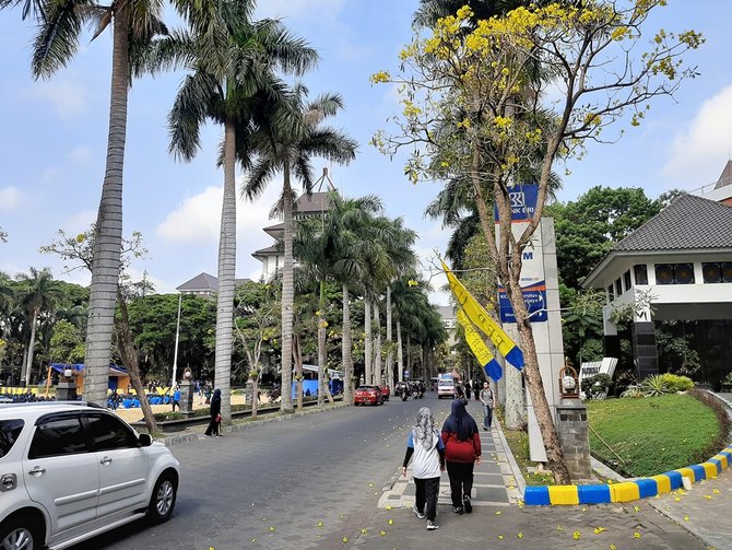 hasil foto samsung galaxy a30s