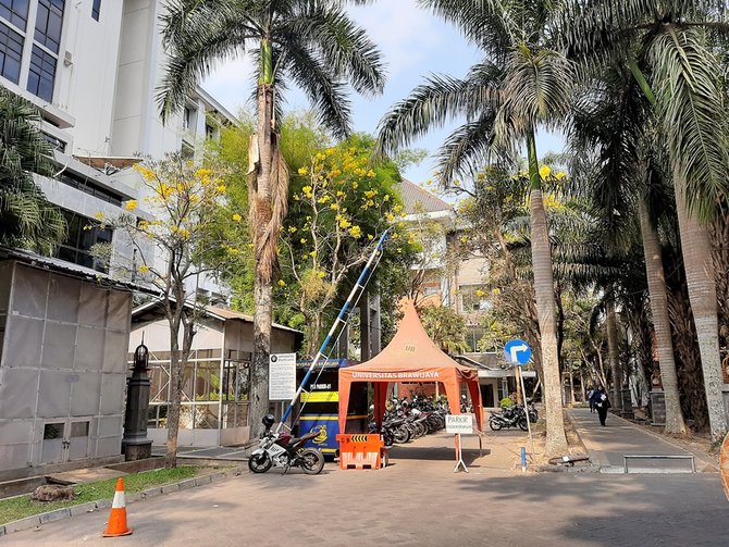 hasil foto samsung galaxy a30s