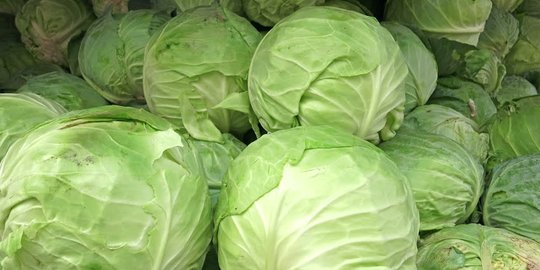 7 makanan yang bisa membantu menjaga kesehatan dan tidak gampang sakit