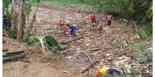 Sampah Bambu di Sungai Cikeas Selesai Dibersihkan