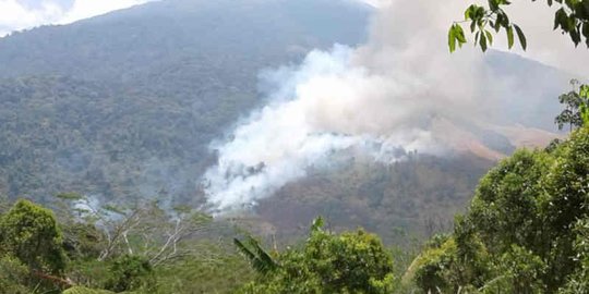 Kebakaran di Gunung Ciremai Berhasil Dipadamkan