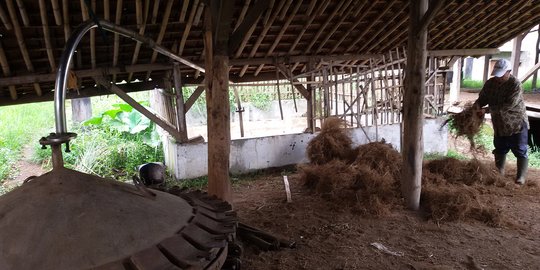 saingan di indonesia rev1