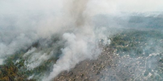 Sejak Januari-Oktober 2019, Polda Riau Tetapkan 72 Tersangka Kebakaran Lahan