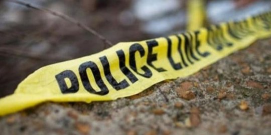 Monyet Besar Lepas di Bela Cassa Depok, Wanita Hamil Digigit