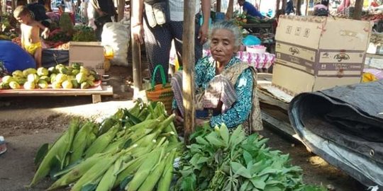 Anak Jadi Bupati di NTT, Orang Tua Tetap Bertani dan Jualan Ternak di Pasar